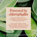 nature-s-way-chlorofresh-liquid-chloroph-4.jpg