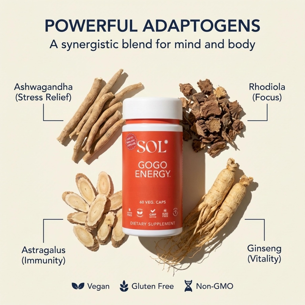 gogo-energy-supplement-natural-energy-bo-2.jpg