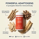 gogo-energy-supplement-natural-energy-bo-2.jpg