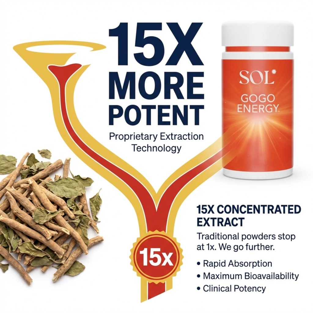 gogo-energy-supplement-natural-energy-bo-4.jpg