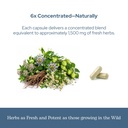 eclectic-herb-valerian-passion-flower-ca-6.jpg