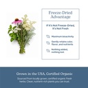 eclectic-herb-valerian-passion-flower-ca-5.jpg