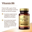 solgar-vitamin-b-bundle-b6-25-mg-100-tab-5.jpg