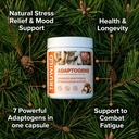 truwild-adaptogen-blend-with-cordyceps-m-6.jpg