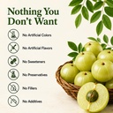 vitamatic-certified-usda-organic-amla-be-4.jpg