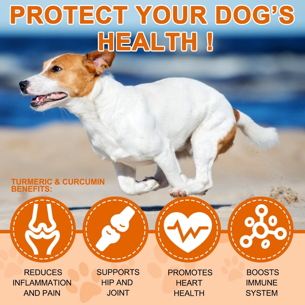 turmeric-for-dogs-180-turmeric-curcumin--5.jpg