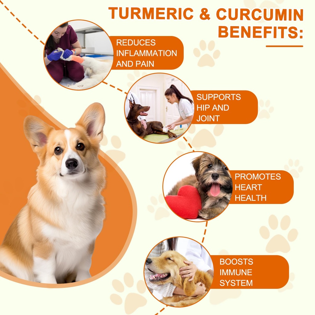 turmeric-for-dogs-180-turmeric-curcumin--3.jpg