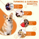 turmeric-for-dogs-180-turmeric-curcumin--3.jpg