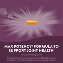 nature-s-way-turmeric-max-potency-premiu-3.jpg