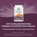 nature-s-way-turmeric-max-potency-premiu-4.jpg