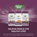 nature-s-way-turmeric-max-potency-premiu-6.jpg