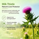 uvera-milk-thistle-detox-liver-support-w-3.jpg