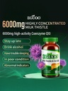 milk-thistle-coq10-dietary-supplement-60-2.jpg