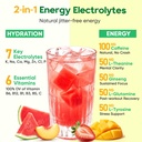 venture-pal-hydration-energy-electrolyte-3.jpg