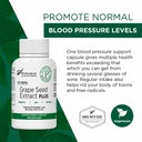 grape-seed-extract-plus-vitis-vinifera-6-6.jpg