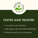swanson-grape-seed-extract-standardized--4.jpg