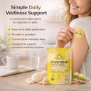 dopamine-patches-with-5-htp-lions-mane-2-4.jpg