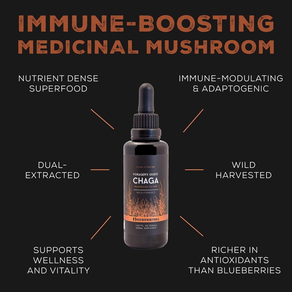 chaga-mushroom-extract-forager-s-quest-5-3.jpg