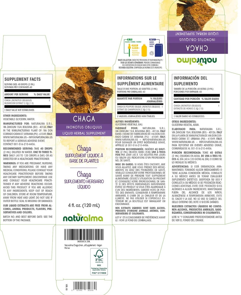 naturalma-chaga-inonotus-obliquus-mushro-2.jpg