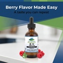 pure-mountain-botanicals-b12-1000-mcg-b1-5.jpg