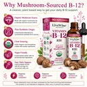 vitamin-b12-liquid-drops-for-kids-toddle-2.jpg