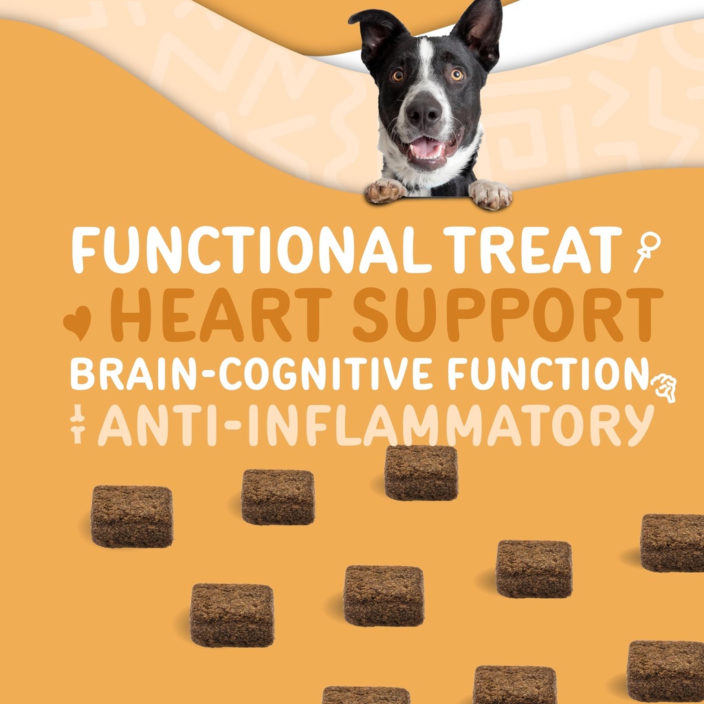 waggedy-omega-max-chews-for-dogs-with-sa-3.jpg