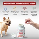 urinary-tract-support-for-dogs-and-cats--3.jpg