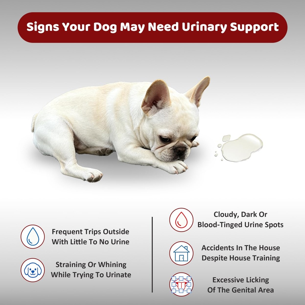 urinary-tract-support-for-dogs-and-cats--2.jpg