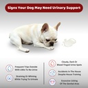 urinary-tract-support-for-dogs-and-cats--2.jpg