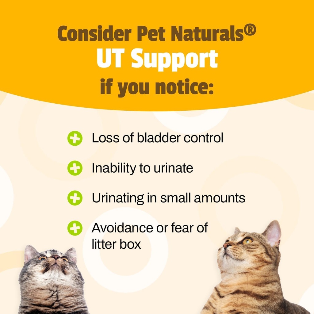 pet-naturals-ut-support-soft-chews-for-c-4.jpg