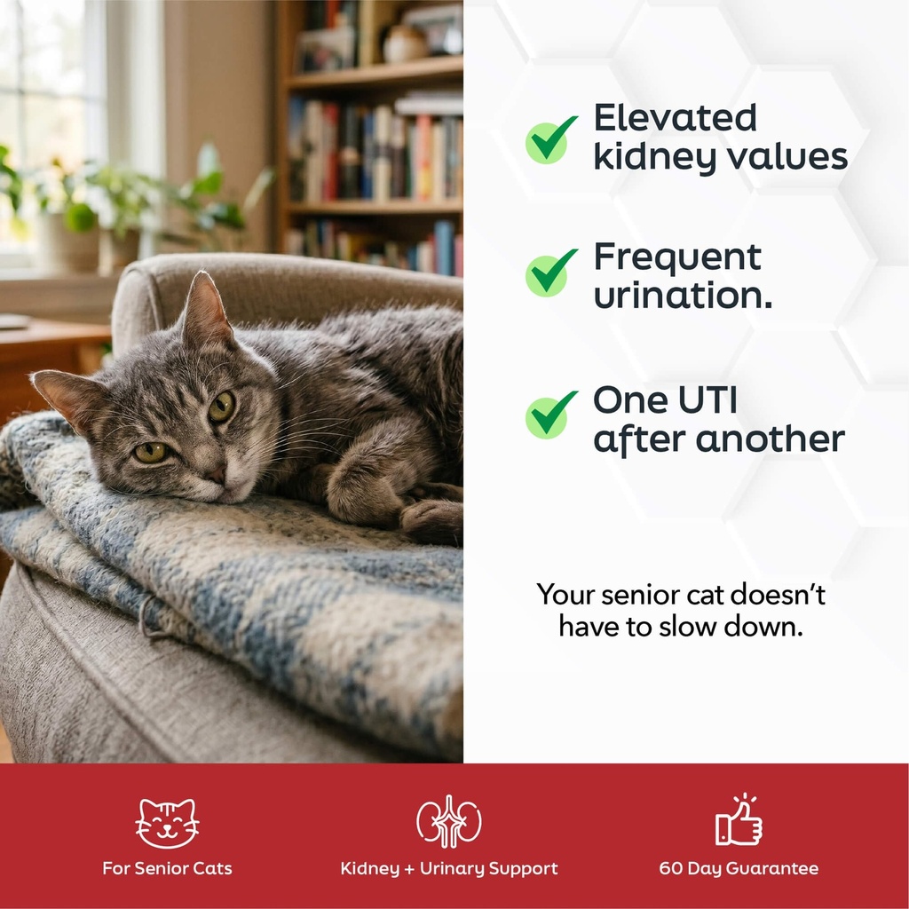 kidney-urinary-support-for-cats-d-mannos-2.jpg