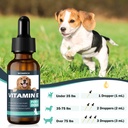 vitamin-e-for-dogs-vitamin-e-oil-for-dog-3.jpg