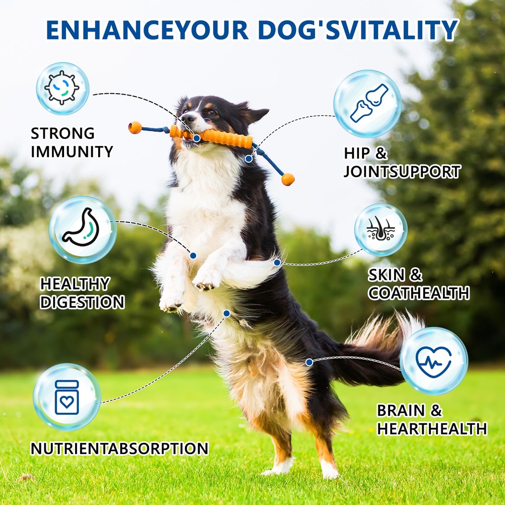 dog-multivitamin-40-in-1-dog-vitamins-an-2.jpg
