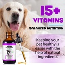 dog-vitamins-and-supplements-dog-vitamin-3.jpg
