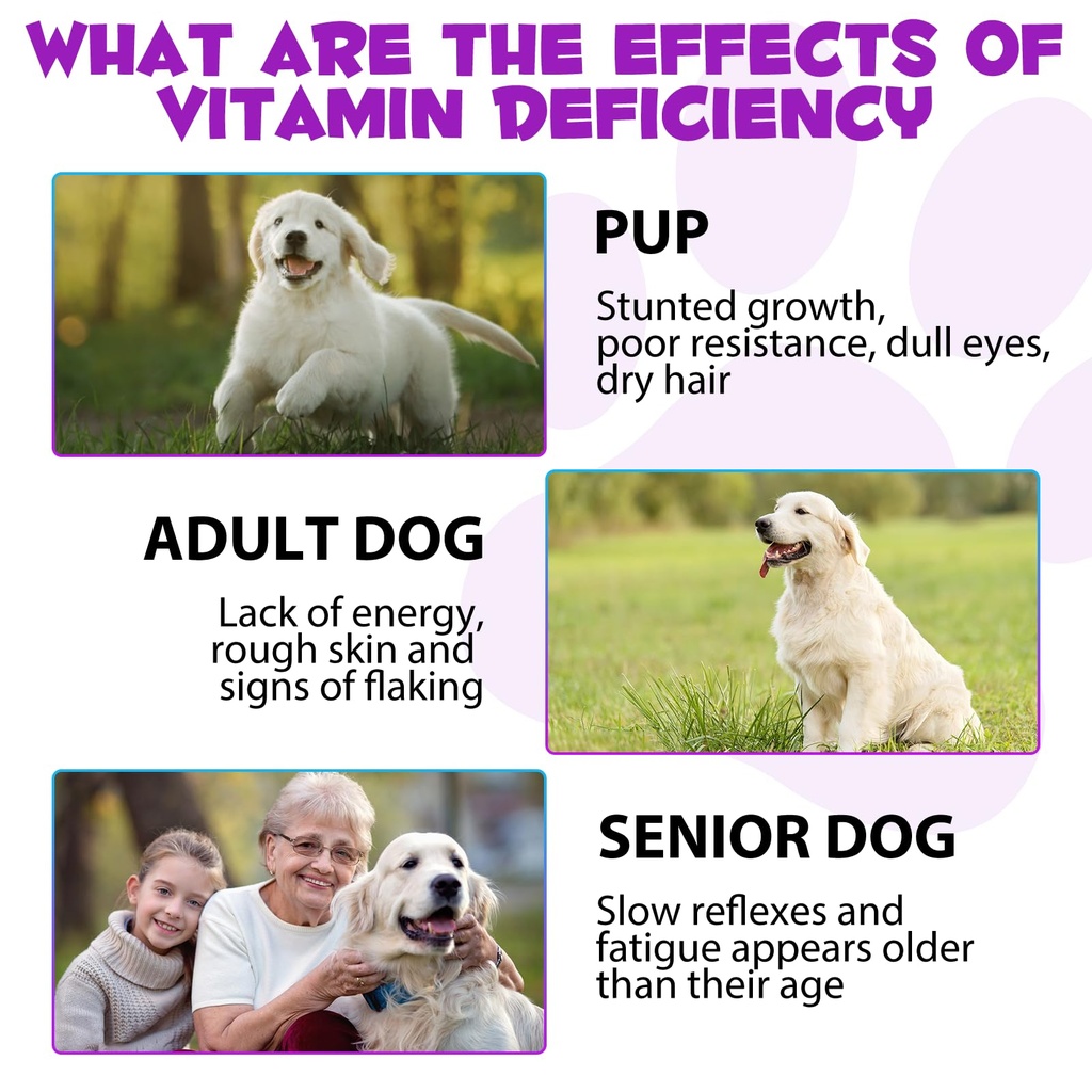 dog-vitamins-and-supplements-dog-vitamin-5.jpg