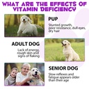 dog-vitamins-and-supplements-dog-vitamin-5.jpg