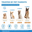 dog-vitamins-and-supplements-200-chews-2-6.jpg