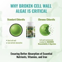 chronox-chlorella-pure-organic-supplemen-4.jpg