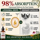 lymphatic-drainage-drops-liposomal-30-in-6.jpg