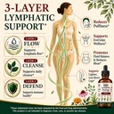 lymphatic-drainage-drops-liposomal-30-in-3.jpg