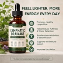lymphatic-drainage-drops-4-herb-liquid-l-2.jpg