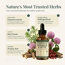 lymphatic-drainage-drops-fluid-retention-3.jpg