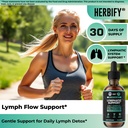 lymphatic-drainage-drops-for-liver-detox-3.jpg