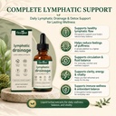 lymphatic-drainage-drops-herbal-liquid-e-5.jpg
