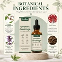lymphatic-drainage-drops-herbal-liquid-e-2.jpg