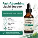 lymphatic-drainage-drops-alcohol-free-ve-5.jpg