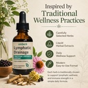 lymphatic-drainage-drops-alcohol-free-ve-2.jpg