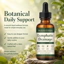 drenaje-linf-tico-lymphatic-drainage-dro-2.jpg
