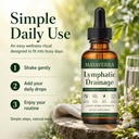 drenaje-linf-tico-lymphatic-drainage-dro-6.jpg
