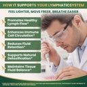 liposomal-lymphatic-drainage-drops-organ-2.jpg